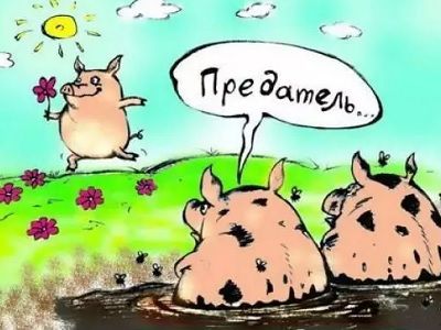 "Предатель". Картинка: animalsfoto.com "Предатель". Картинка: animalsfoto.com