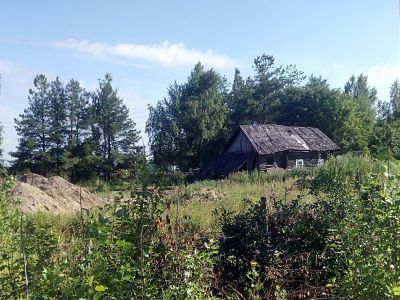 Вологодская деревня. Фото: Максим Собеский, Каспаров.Ru