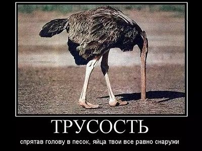 Трусость. Фото: demotivators.ru